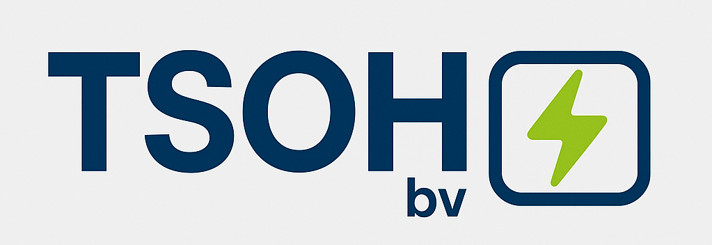 tsoh logo